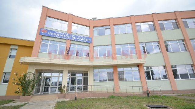 incubator de afaceri