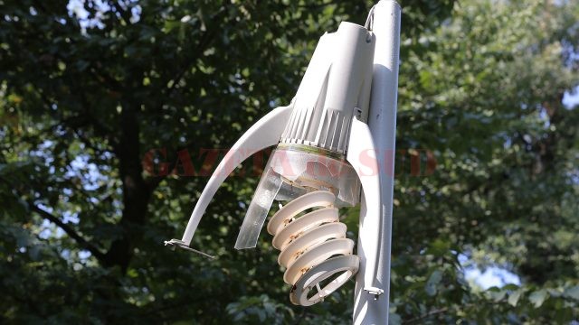 Multe din lampadarele din Parcul Tineretului sunt distruse, nu mai au plăcuțele care acoperă partea electrică, firele de curent fiind lăsate la vedere