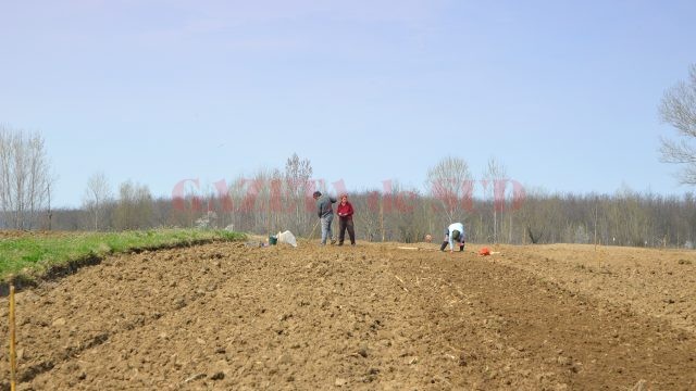 Locuitorii din mediul rural care intră acum în programul de cadastrare gratuită au avantajul că din 2018 vor primi subvenții APIA. Cine nu are terenurile cadastrate până în 2018 nu mai poate primi subvențiile europene (Foto: Arhiva GdS)