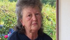 Viorica Puiu, consilier la Camera Agricolă Mehedinți, spune că plantația de cătină se pretează la solul din județ  (Foto: captură video)