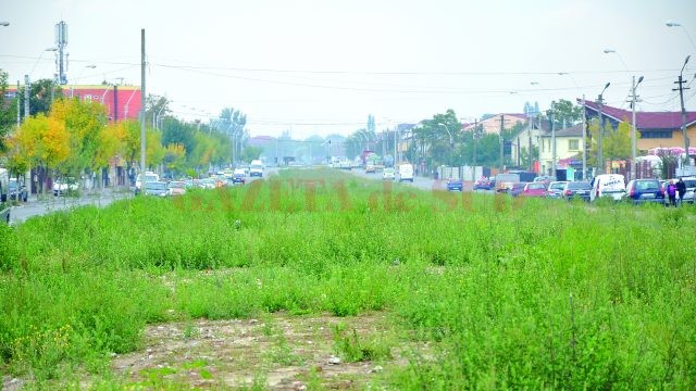 Pe strada Râului mai este mult de lucru până când spațiul dintre sensurile de mers va scăpa de buruieni și se va transforma în gazon (FOTO: Claudiu Tudor)