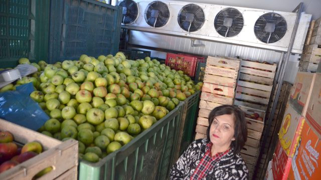 Depozitul frigorific de fructe din Salcia este singurul din Mehedinţi (Foto: Claudiu Tudor)