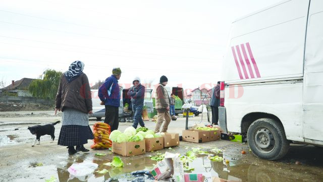 Vânzare printre bălţi şi câini, oferta din Târgul Municipal Craiova (Foto: Bogdan Grosu)