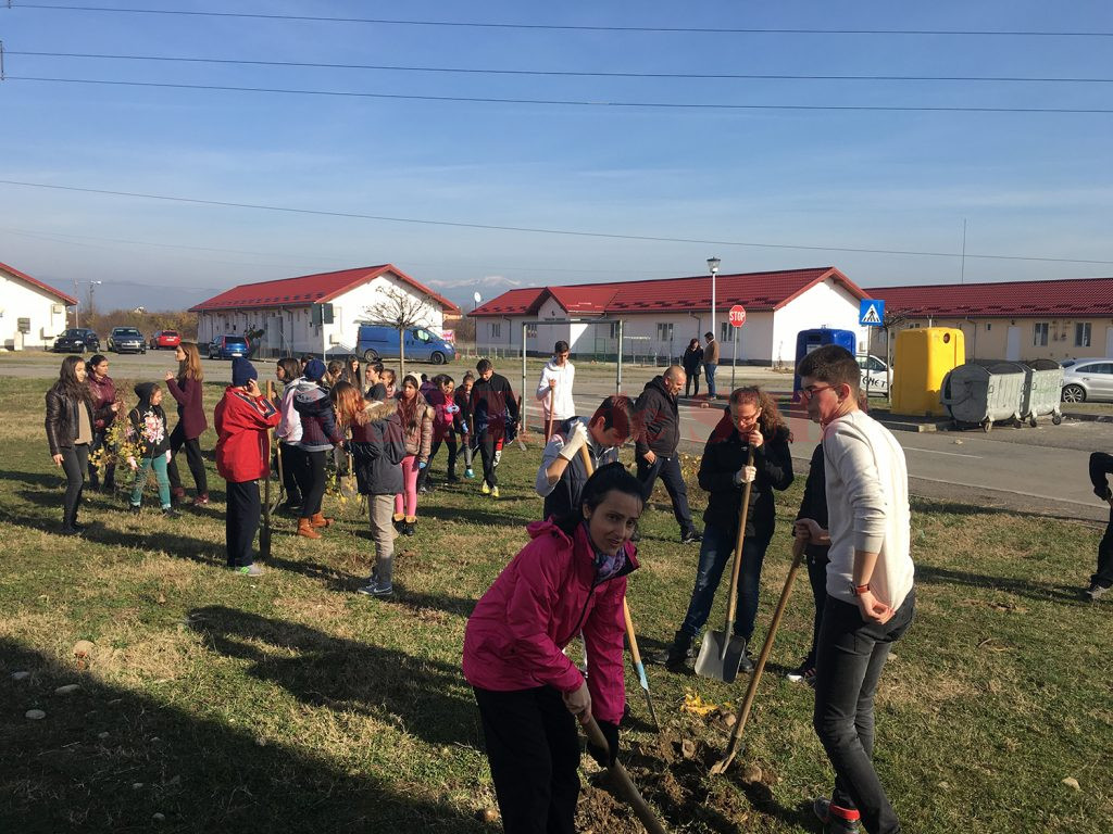 Voluntarii au participat la plantarea copacilor (Foto: Eugen Măruță)
