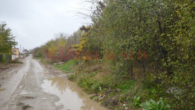 Așa arată o stradă din comuna Cârcea (Foto: Lucian Anghel)
