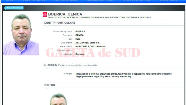 După fuga lui Genică Boerică, fiica acestuia a fost trimisă în judecată în două dosare de evaziune fiscală și spălare de bani