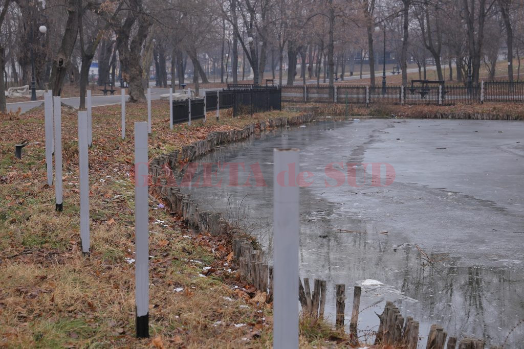 Constructorul trebuie să monteze și să vopsească gardul din jurul lacului (Foto: Lucian Anghel)