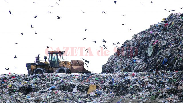 Așa arăta, pe 5 ianuarie, Celula 5 a depozitului de deșeuri de la Mofleni, ultima aflată în exploatare (Foto: Bogdan Grosu)