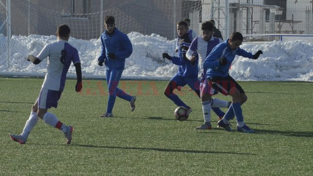 _DSC0075