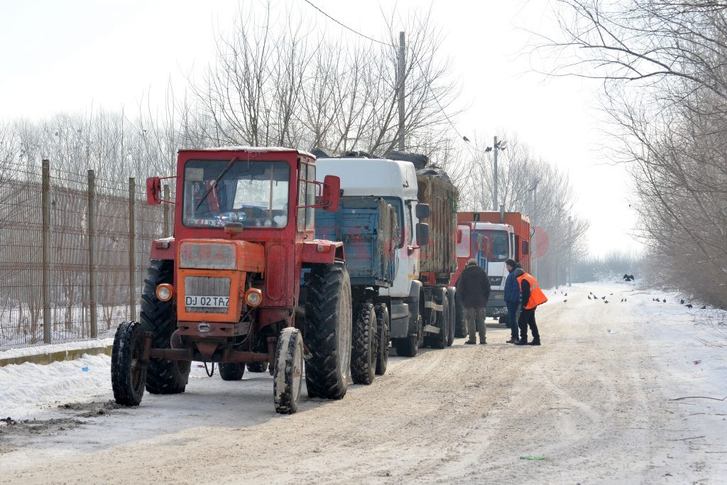 Vineri, la ora 11.30, la depozitul de la Mofleni așteptau două autogunoiere și două tractoare (Foto: Bogdan Grosu)