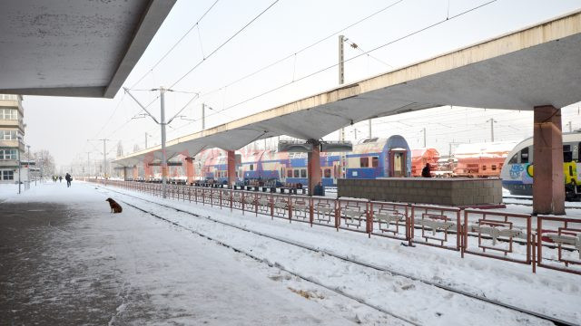 Peroanele sunt acoperite de zăpadă cu gheaţă (Foto: Bogdan Grosu)