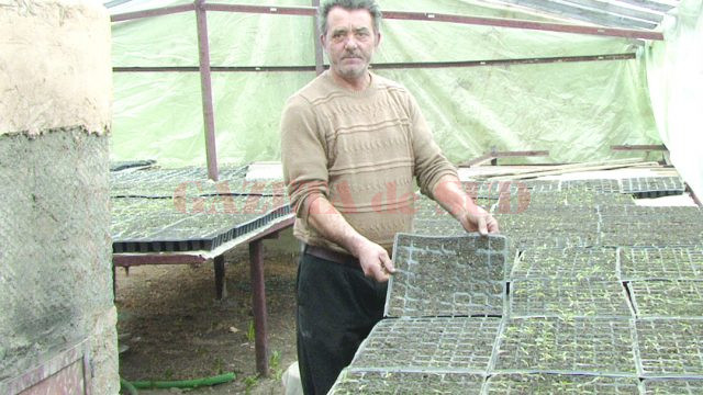 Pe cultivatorii de legume îi așteaptă un an agricol dificil