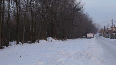 IMG_0901