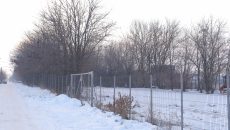 IMG_0905