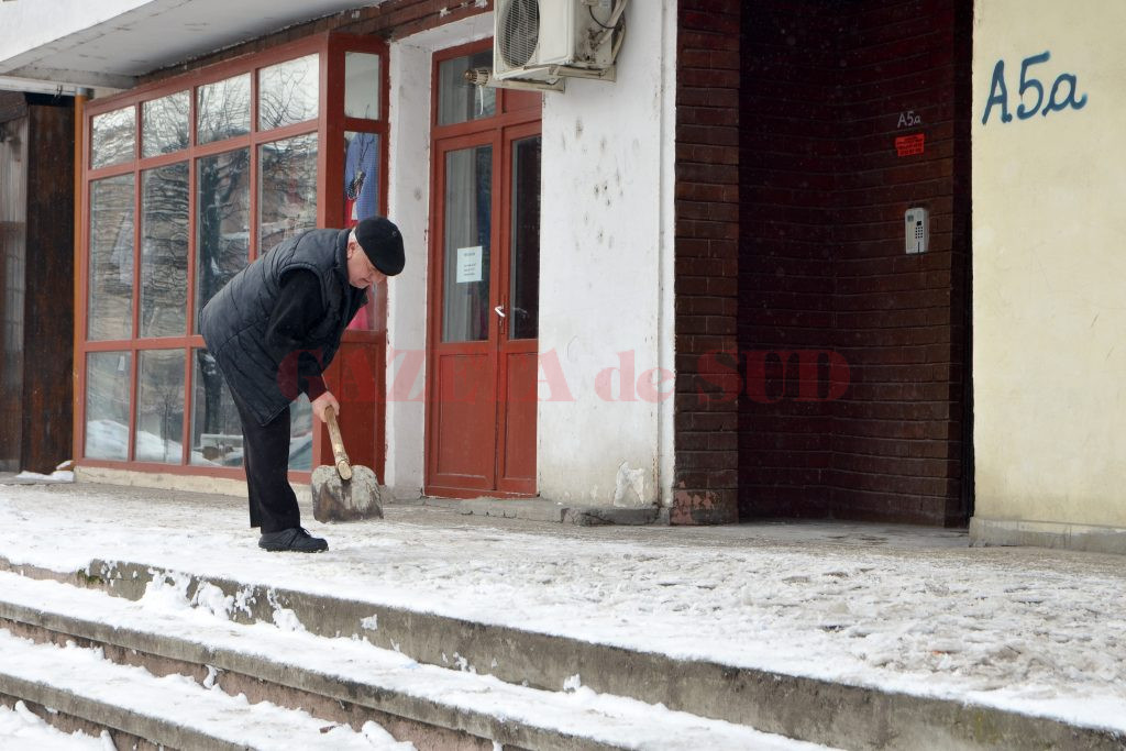 Proprietarii au pus mâna pe lopată (Foto: Bogdan Grosu)