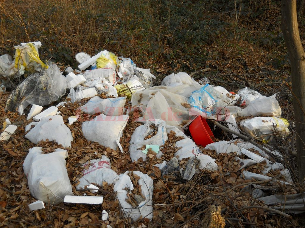 Mai este mult până când va începe cu adevărat reciclarea deşeurilor