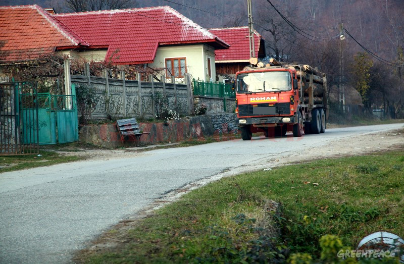 Lemnul confiscat a fost predat ocoalelor silvice