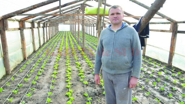 Gheorghe Buldur, unul dintre legumicultorii din Cioroiu Nou (FOTO: Claudiu Tudor)