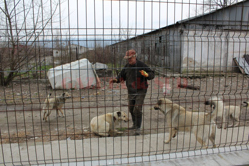 Conducerea ecarisajului din Râmnicu Vâlcea, acuzată de omor