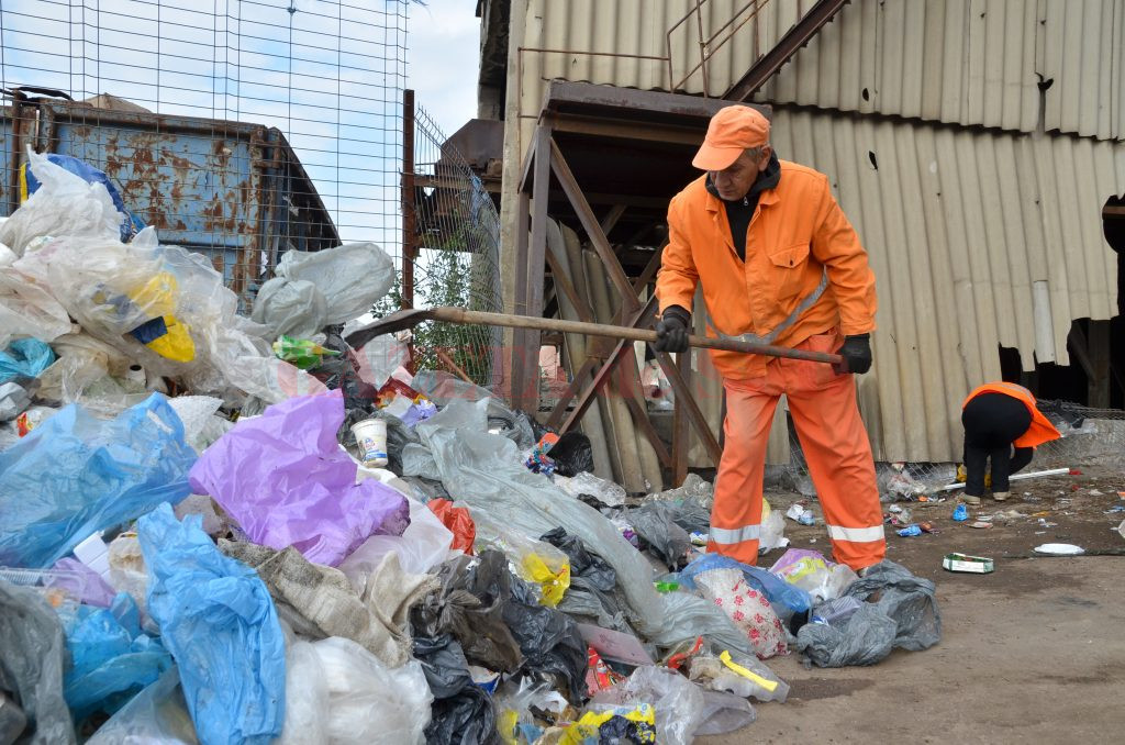 Angajații Salubrității sortează deșeurile colectate de craioveni (Foto: Claudiu Tudor)