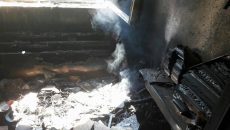 18052854_1263985550387017_38058976_n