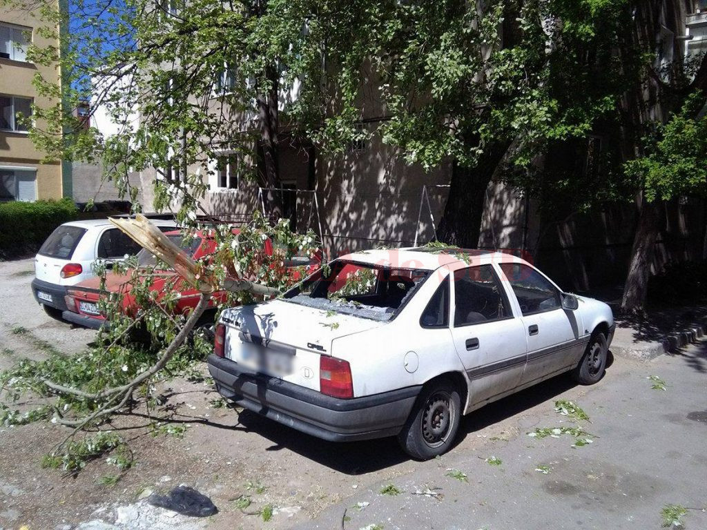 Un copac a căzut din senin peste un autoturism aflat în parcarea unui bloc (Foto: Valentin tudor)