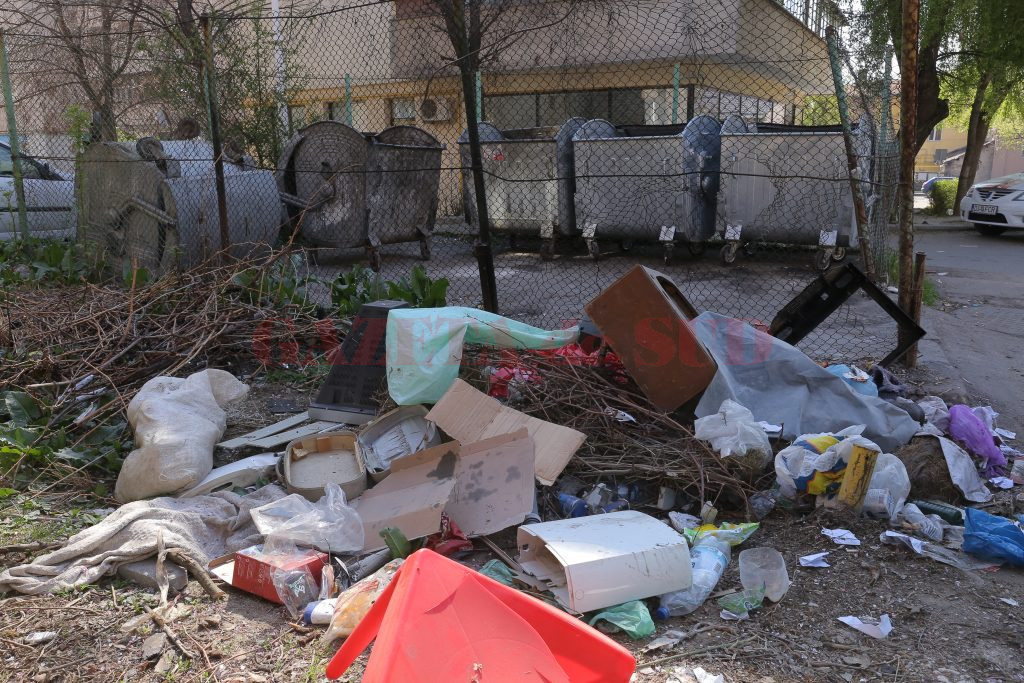 Gunoi adus de la case la platformă (Foto: Lucian Anghel)