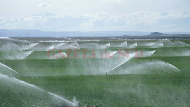 Din cele 296.969 de hectare de teren amenajate pentru irigaţii la nivelul judeţului Dolj, doar 29.242 au fost irigate anul trecut
