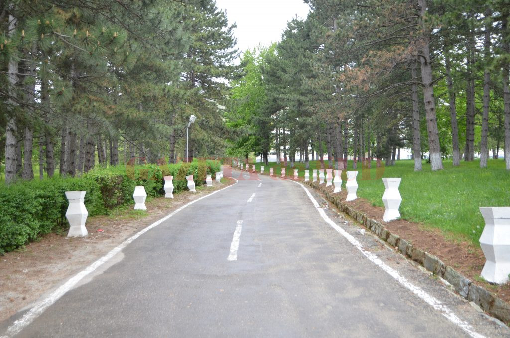 Aleea care duce către spitalul unde sunt tratați pacienții cu TBC (Foto: Claudiu Tudor)