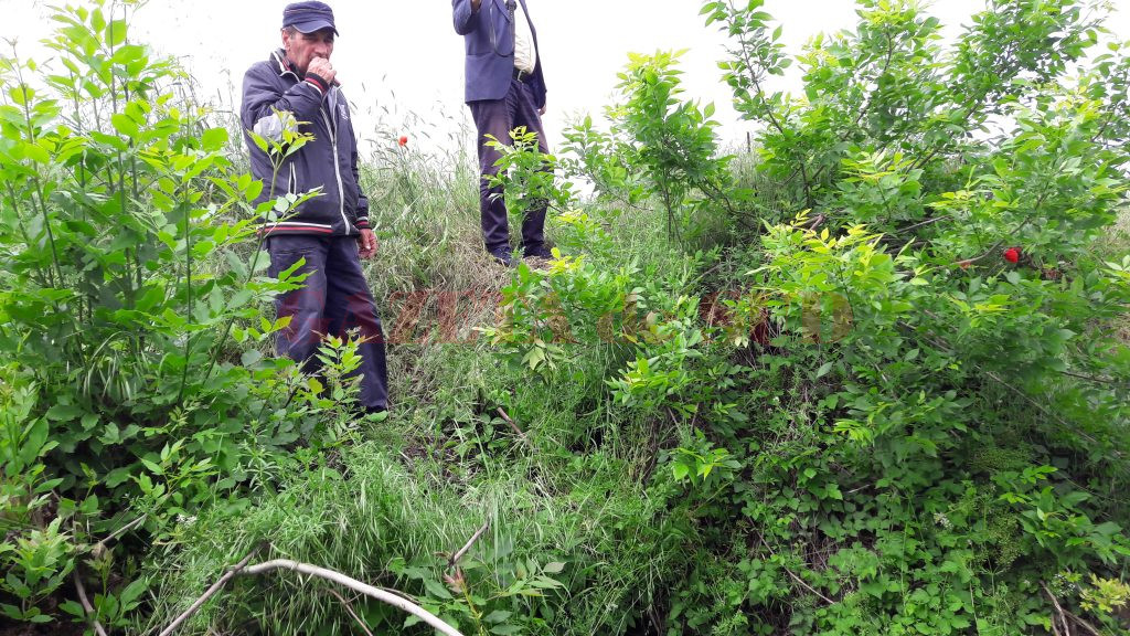 constantin ignat, cel care a facut sesizarea