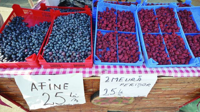 Zmeura şi afinele, cele mai scumpe fructe din piaţă (Foto: Bogdan Grosu)