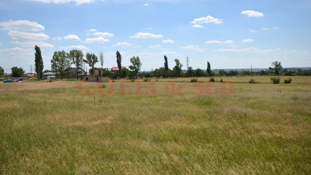 Terenul de 9,7 hectare unde ar urma să se construiască Spitalul Regional Craiova (Foto: Bogdan Grosu)