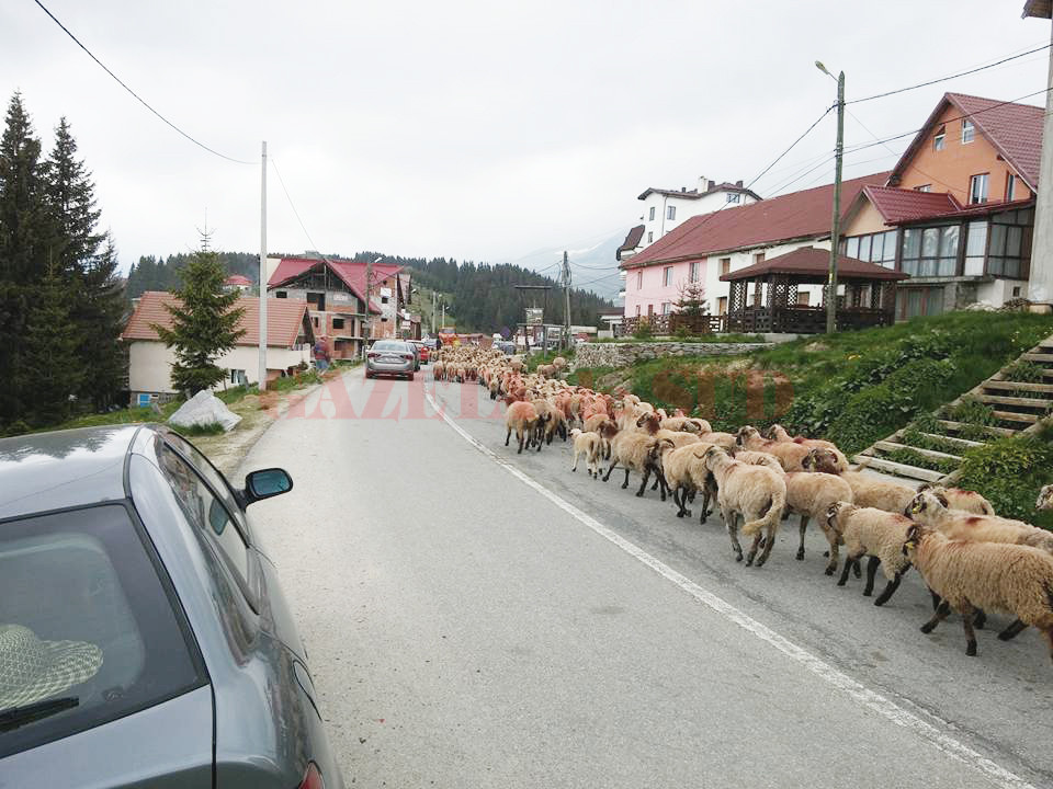 Rânca este cea mai tânără staţiune montană din ţară