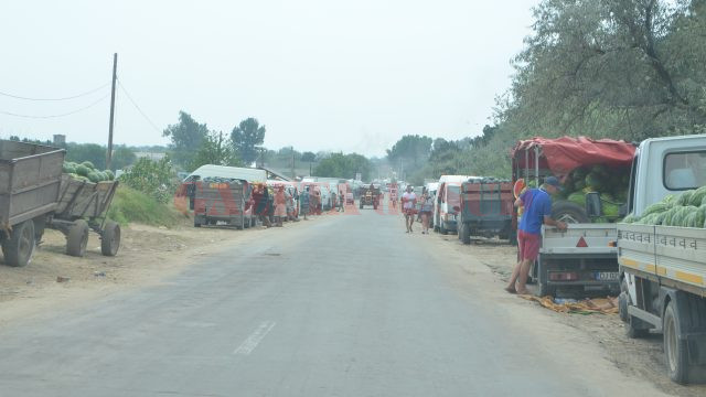 În disperarea de a-şi vinde marfa, producătorii de pepeni din Dăbuleni stau tot pe marginea străzii, deşi în apropiere este amenajată o piaţă de gros (Foto: Claudiu Tudor)