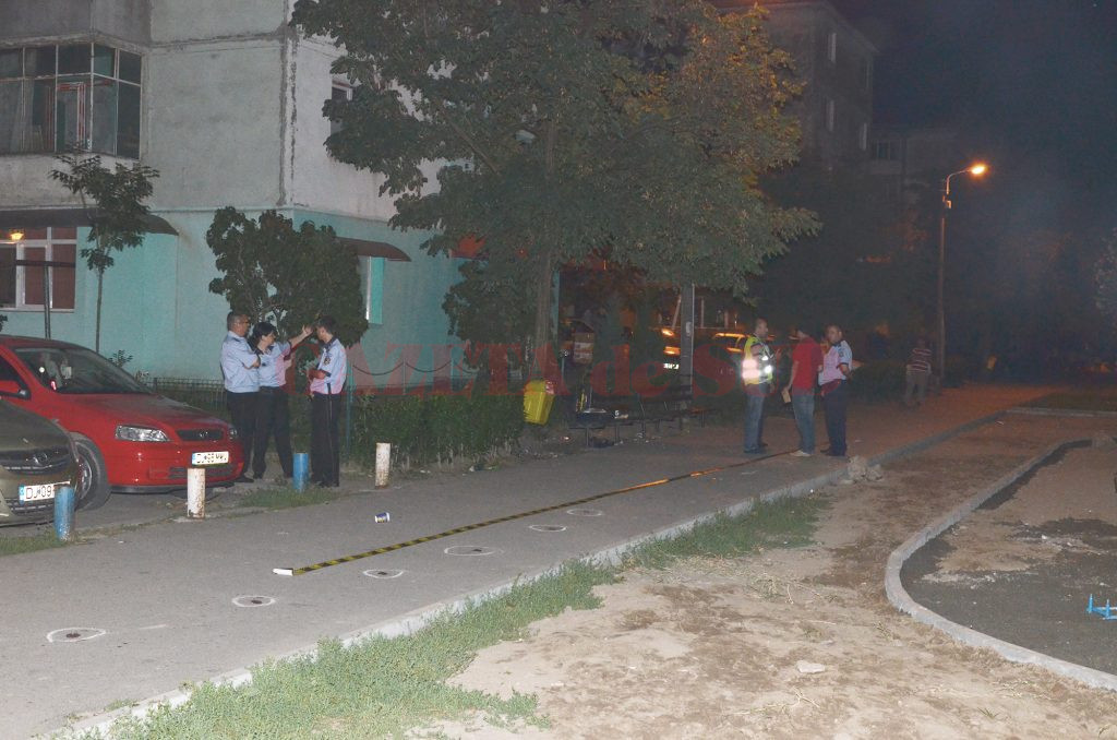 Anchetatorii au stabilit că Dinu l-a lovit cu mașina pe „Vialis“, după care l-a tăiat cu o sabie (Foto: Arhiva GdS)