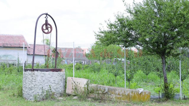 Aproape toate fântânile din partea de sud a localităţii au secat, iar oameni cară apă din comună cu butoaiele și bidoanele (Foto: Lucian Anghel)