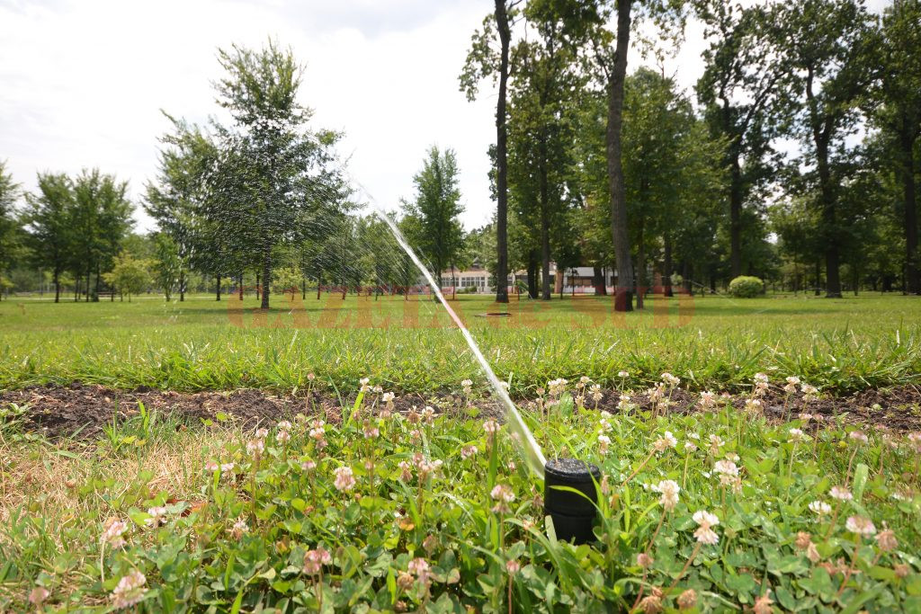 În Parcul Tineretului, aspersoarele ţin în viaţă vegetaţia (Foto: bogdan Grosu)