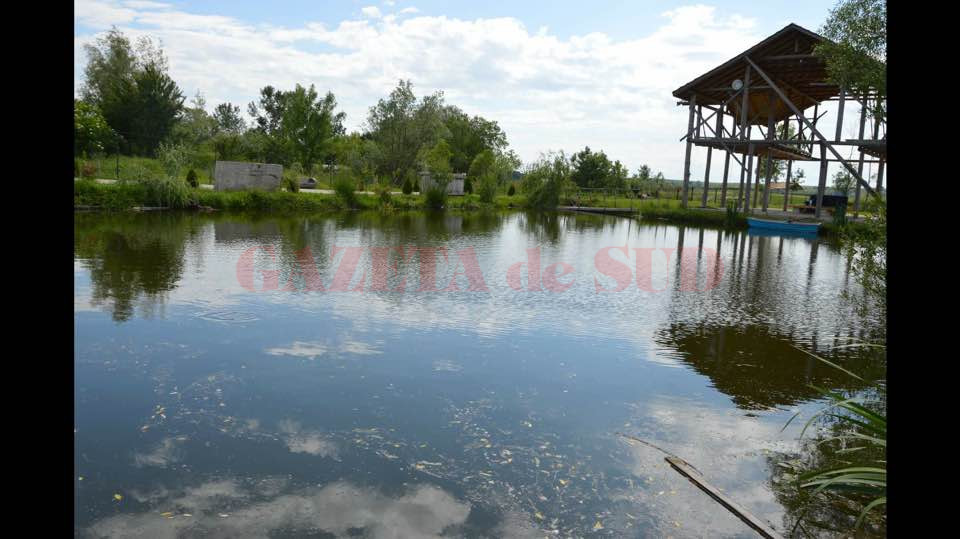 Lacul de pe proprietatea fostului director al Ansamblului Profesionist „Doina Oltului“ Foto: facebook Costinel Alexandrescu