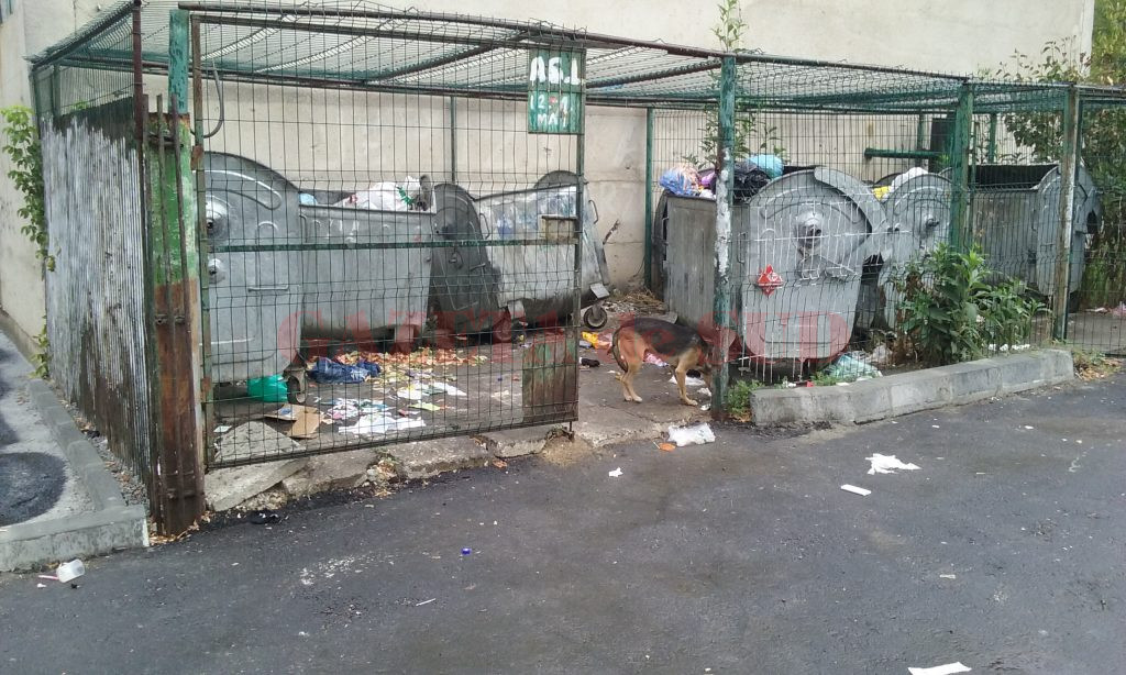 Tomberoanele sunt aproape întotdeauna pline (Foto: Lucian Anghel)
