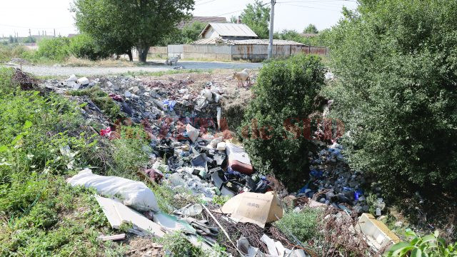 Craiovenii de pe strada Carpenului se plâng și de gunoaiele aruncate la întâmplare în canalul de pe mijlocul drumului (Foto: Lucian Anghel)