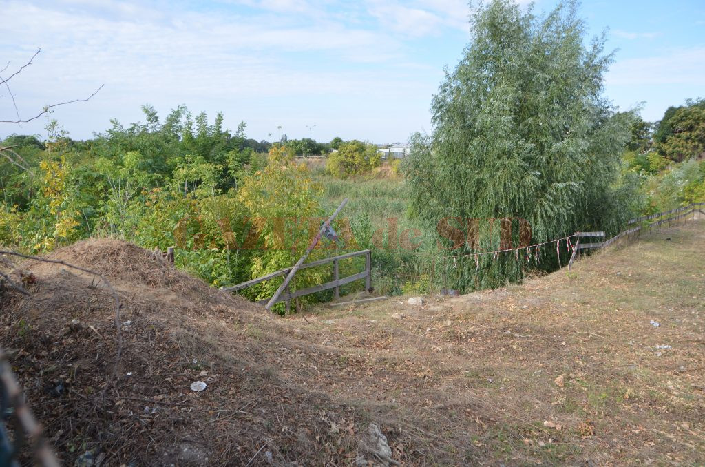 Pe strada Caracal, locul unde trebuia să apară Adora Mall, arată ca un bazin cu vegetație sălbatică (Foto: Claudiu Tudor)