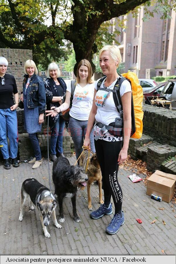 Sursa foto: Asociatia pentru protejarea animalelor NUCA / Facebook 