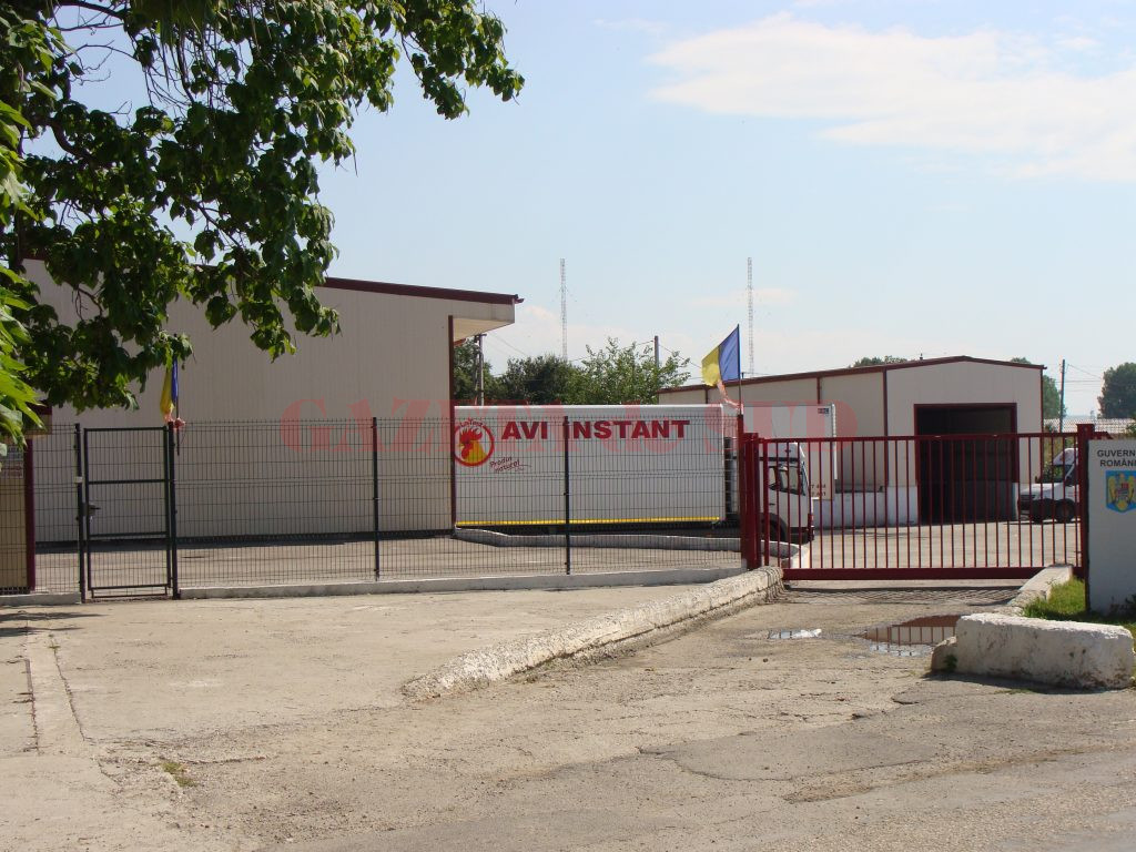 Avicola a fost deţinută la un moment dat de un irakian şi a funcţionat sub denumirea AVI Instant