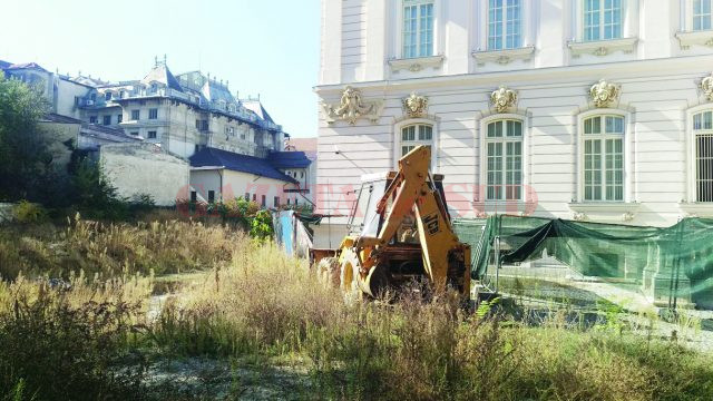 Pe șantierul din curtea Muzeului de Artă, unde ar trebui să se construiască Centrul „Brâncuși“, au crescut bălăriile (FOTO: Marian Apipie)