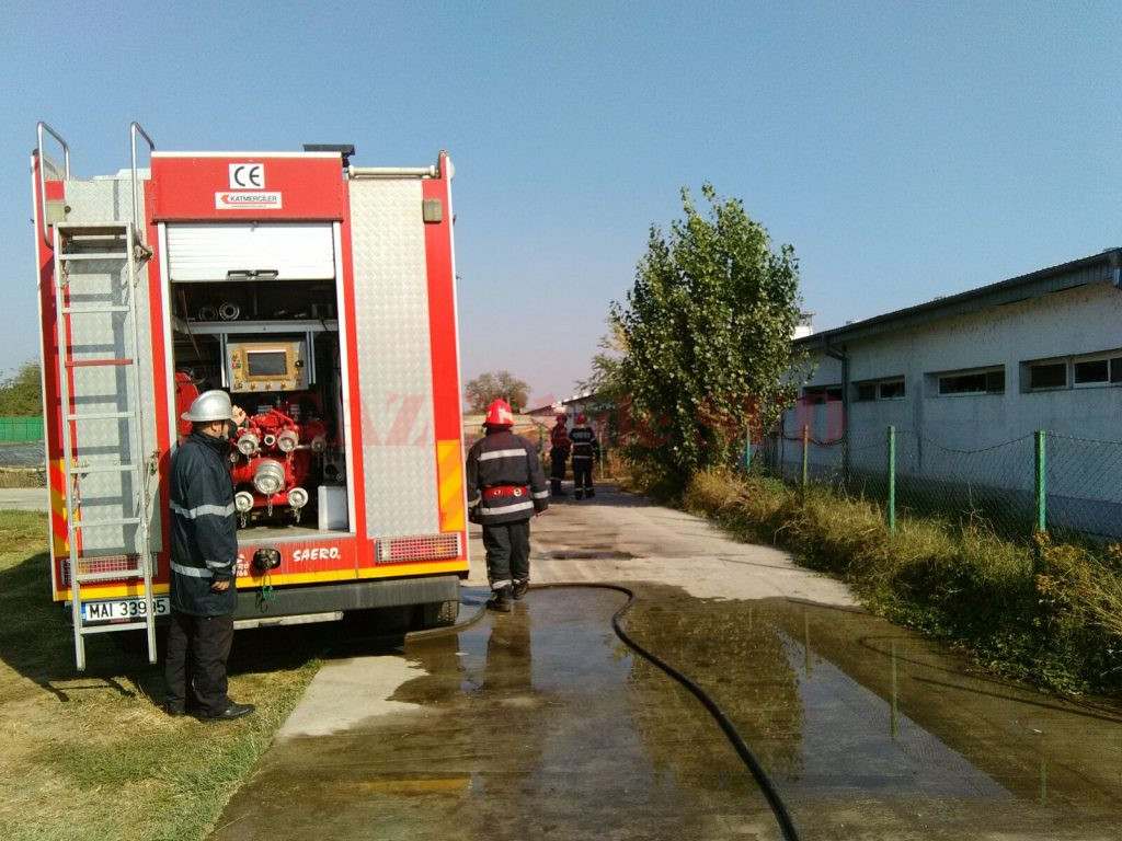 Pompierii doljeni au intervenit cu trei autospeciale pentru stingerea incediului care a cuprins una din clădirile fermei de creștere a porcilor