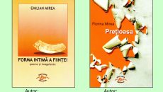 afis lansare 13 noiembrie mirea