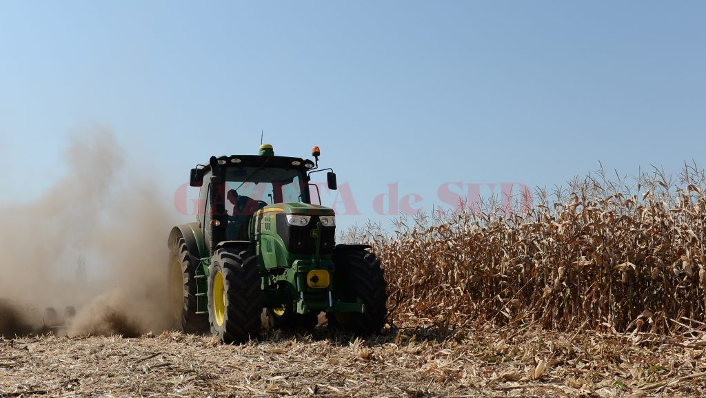 Mii de hectare de terenuri agricole din Oltenia au fost tranzacționate în acest an (Foto: economica.net)