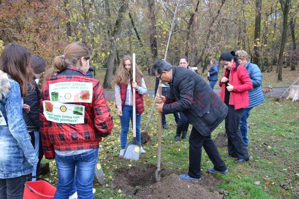 Activităţile s-au desfăşurat pe bază de voluntariat 