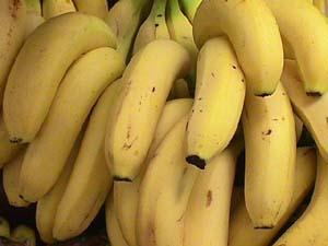 Banana poate fi folosit ca îngrășământ