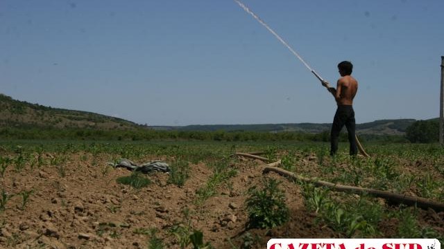 Apă cu picătura în unele localităţi din Dolj